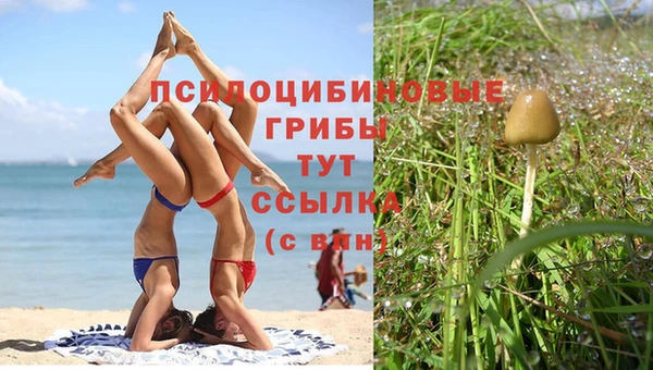 гидра Армянск