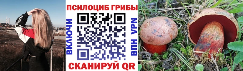 Псилоцибиновые грибы прущие грибы  цена наркотик  Туапсе 